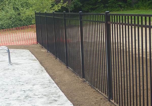 Fence and Landscaping